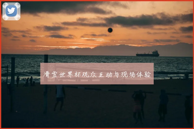 滑雪世界杯观众互动与现场体验