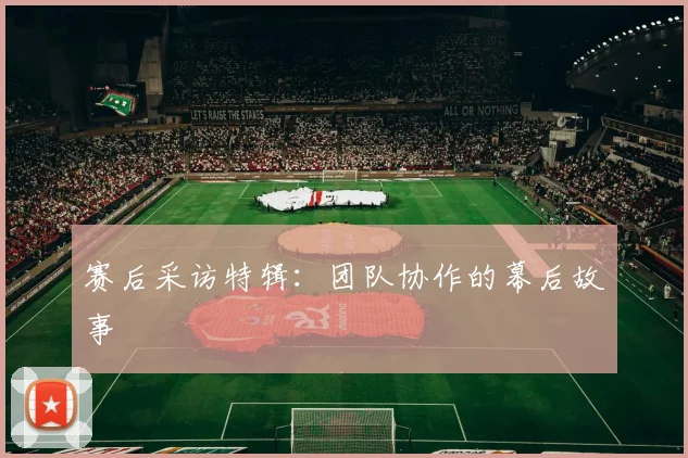 赛后采访特辑：团队协作的幕后故事