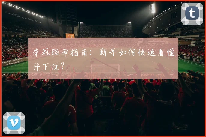 夺冠赔率指南：新手如何快速看懂并下注？