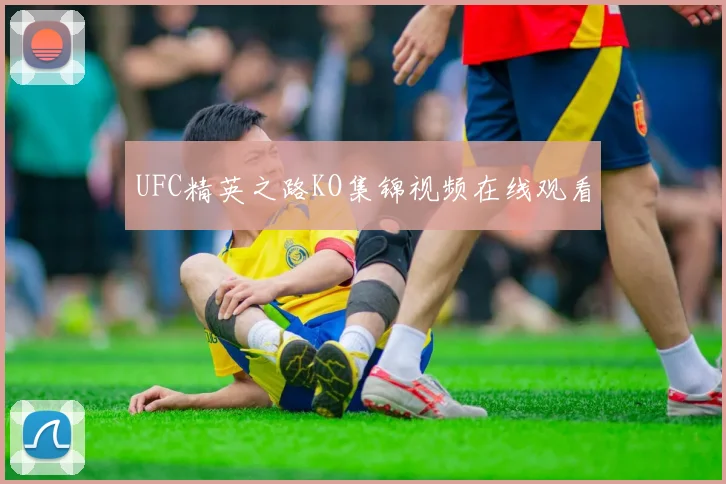 UFC精英之路KO集锦视频在线观看