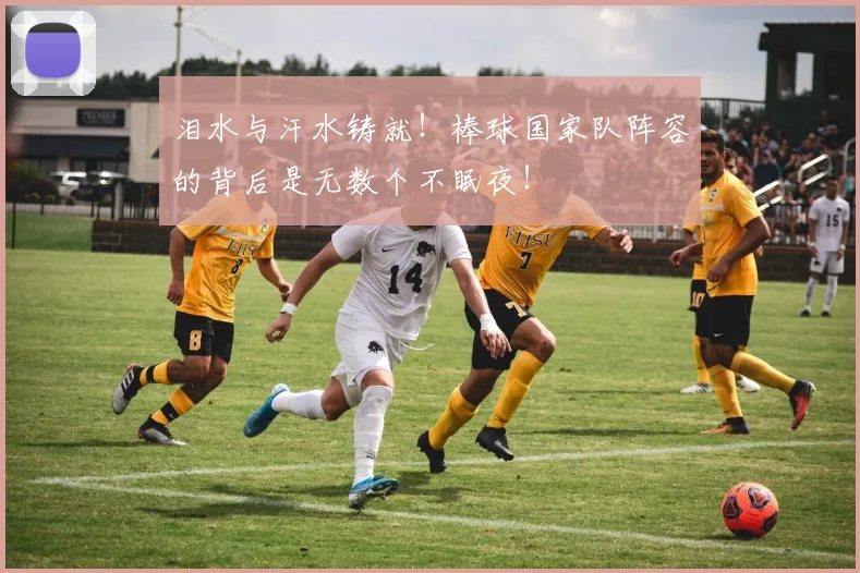 泪水与汗水铸就!棒球国家队阵容的背后是无数个不眠夜!