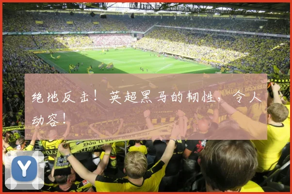 绝地反击！英超黑马的韧性，令人动容！