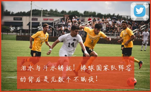 泪水与汗水铸就！棒球国家队阵容的背后是无数个不眠夜！
