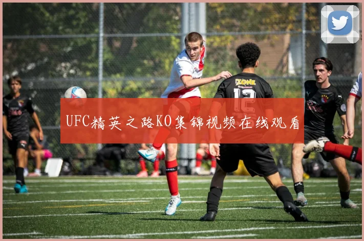 UFC精英之路KO集锦视频在线观看